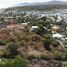  Land for sale in La Paz Baja California Sur, La Paz, Baja California Sur