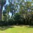  Land for sale in Temixco, Morelos, Temixco