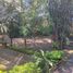  Land for sale in Temixco, Morelos, Temixco
