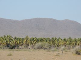  Terrain for sale in Tomatlan, Jalisco, Tomatlan