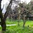  Terreno (Parcela) en venta en Ñuble, Chillan, Diguillín, Ñuble