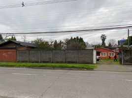  Terreno (Parcela) en venta en Ñuble, Chillan, Diguillín, Ñuble