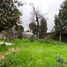  Terreno (Parcela) en venta en Ñuble, Chillan, Diguillín, Ñuble