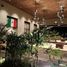  Terreno (Parcela) en venta en Conkal, Yucatán, Conkal, Yucatán, México