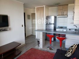 1 Habitación Apartamento en venta en Valparaíso, Viña del Mar, Valparaíso, Valparaíso