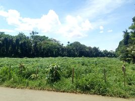  Land for sale in Bogor Selatan, Bogor, Bogor Selatan