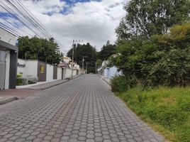 Land for sale in Conocoto, Pichincha, Conocoto