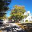  Land for sale in Zapopan, Jalisco, Zapopan, Jalisco