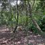  Land for sale in Vilcabamba Victoria, Loja, Vilcabamba Victoria, Loja, Loja
