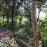  Land for sale in Vilcabamba Victoria, Loja, Vilcabamba Victoria, Loja, Loja