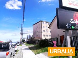 2 Habitación Casa en venta en Llanquihue, Los Lagos, Puerto Montt, Llanquihue