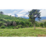  Land for sale in La Mesa, Cundinamarca, La Mesa