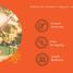  Casa en venta en Merida, Yucatán, Merida, Yucatán