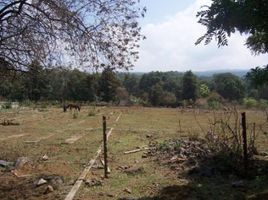  Grundstück zu verkaufen in Huitzilac, Morelos, Huitzilac, Morelos