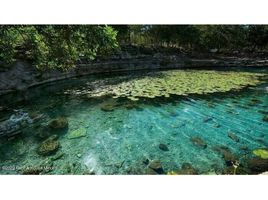  Grundstück zu verkaufen in Hunucma, Yucatan, Hunucma