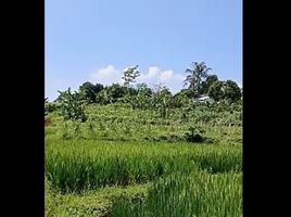  Land for sale in Sukabumi, West Jawa, Sukabumi, Sukabumi