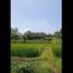  Land for sale in Sukabumi, West Jawa, Sukabumi, Sukabumi