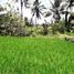  Tanah for sale in Tampak Siring, Gianyar, Tampak Siring