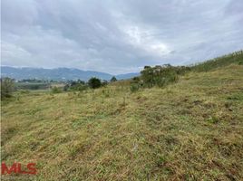  Terreno (Parcela) en venta en El Carmen, Norte De Santander, El Carmen