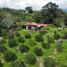 3 Bedroom Villa for sale in Tamesis, Antioquia, Tamesis