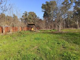  Land for sale in La Plata, Buenos Aires, La Plata