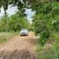  Land for sale in San Vicente, Mimaropa, San Vicente, Palawan, Mimaropa