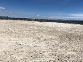  Terreno (Parcela) en venta en Tecozautla, Hidalgo, Tecozautla