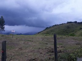  Terreno (Parcela) en alquiler en Manizales, Caldas, Manizales