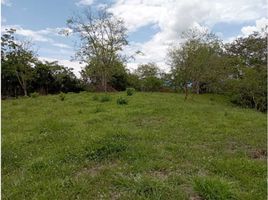  Terreno (Parcela) en venta en Tamesis, Antioquia, Tamesis