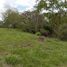  Land for sale in Tamesis, Antioquia, Tamesis