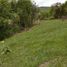  Land for sale in Tamesis, Antioquia, Tamesis