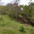  Land for sale in Tamesis, Antioquia, Tamesis