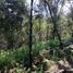  Terreno (Parcela) en venta en Mazamitla, Jalisco, Mazamitla