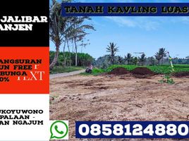  Land for sale in Ngajum, Malang Regency, Ngajum