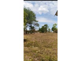  Land for sale in Cocle, Rio Hato, Anton, Cocle