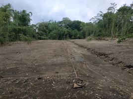  Land for sale in Yogyakarta, Seyegan, Sleman, Yogyakarta