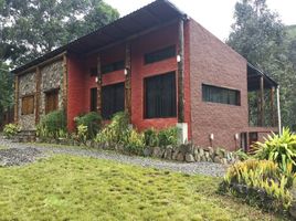 1 Habitación Villa en alquiler en Ecuador, Malacatos (Valladolid), Loja, Loja, Ecuador