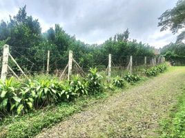  Grundstück zu verkaufen in Karangploso, East Jawa, Karangploso