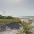  Land for sale in Celestun, Yucatan, Celestun