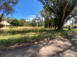  Land for sale in General Alvarado, Buenos Aires, General Alvarado