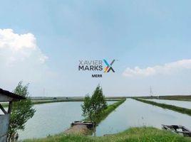  Land for sale in Benowo, Surabaya, Benowo