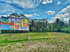  Land for sale in Kepanjen, Malang Regency, Kepanjen