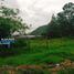  Land for sale in Volcan, Chiriqui, Volcan, Bugaba
