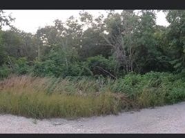  Terreno (Parcela) en venta en Cancún, Quintana Roo, Cancún