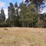  Land for sale in Rionegro, Antioquia, Rionegro