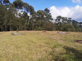  Land for sale in Rionegro, Antioquia, Rionegro