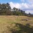  Land for sale in Rionegro, Antioquia, Rionegro