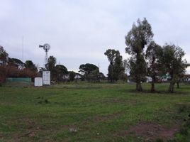  Grundstück zu verkaufen in Villarino, Buenos Aires, Villarino