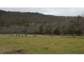  Terrain for sale in Balcarce, Buenos Aires, Balcarce
