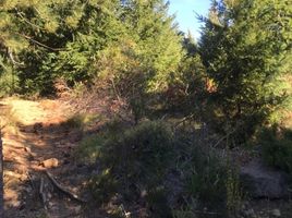  Land for sale in Bariloche, Rio Negro, Bariloche